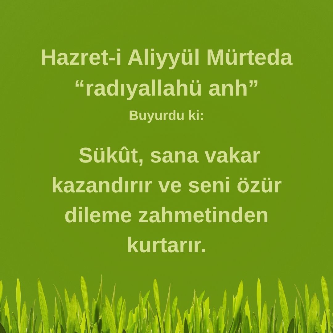 Aliyyül Mürteda (47)